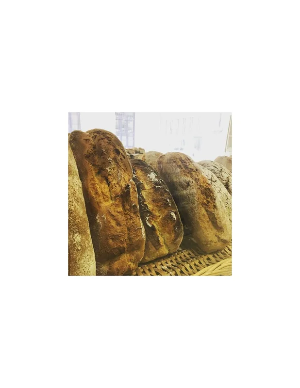 lapanaceabio5308342