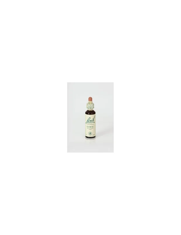 lapanaceabio5313919