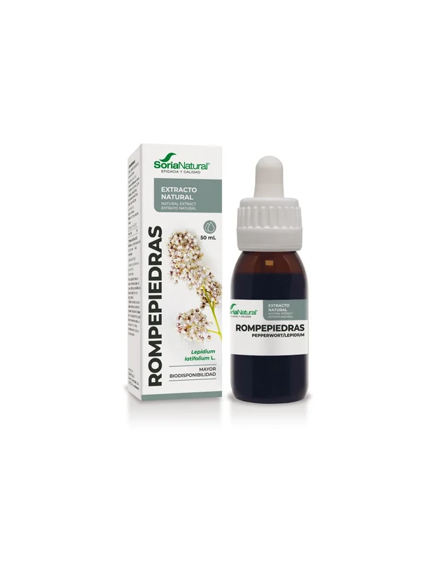 lapanaceabio5327234