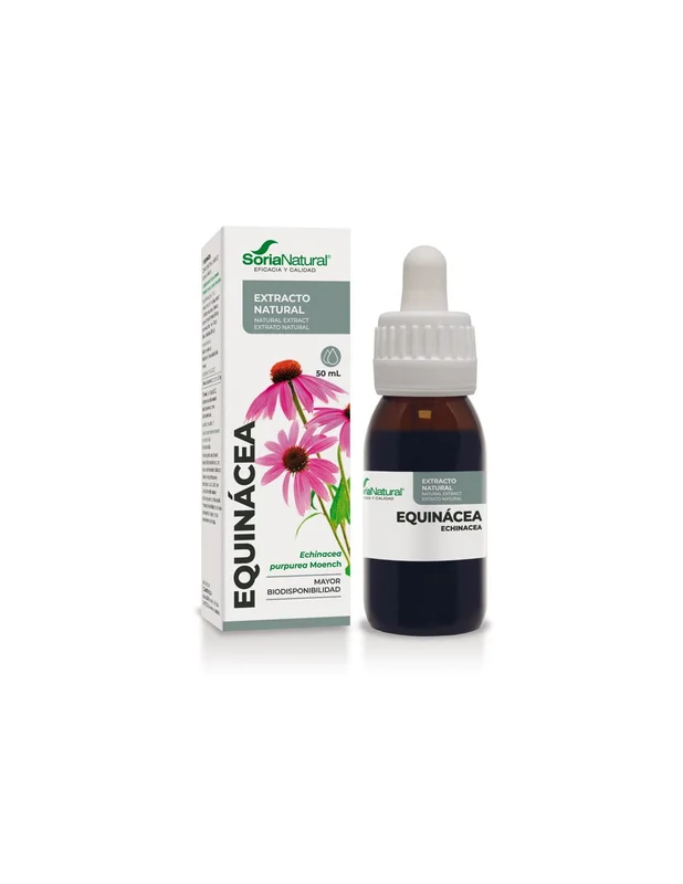 lapanaceabio5327301