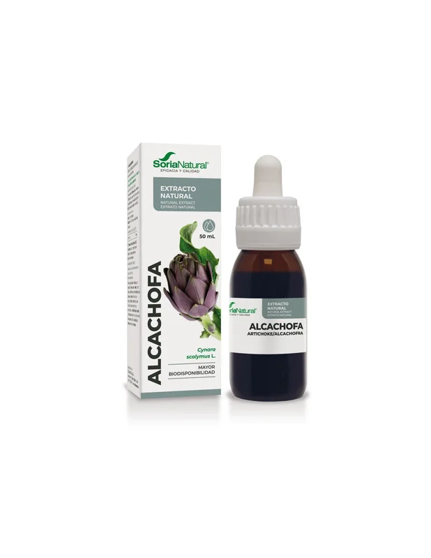 lapanaceabio5327381