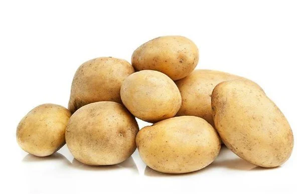 mentta146265